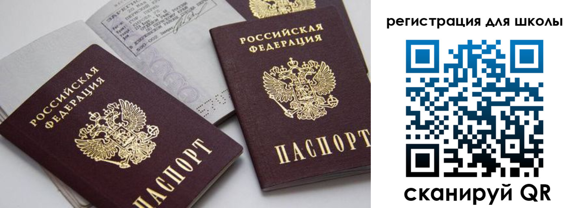 форма 3 в Николаевске